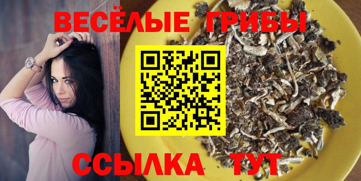 Коломна  Псилоцибиновые грибы MAGIC MUSHROOMS  цены наркотик  Галлюциногенные грибы GOLDEN TEACHER  Вход с VPN 