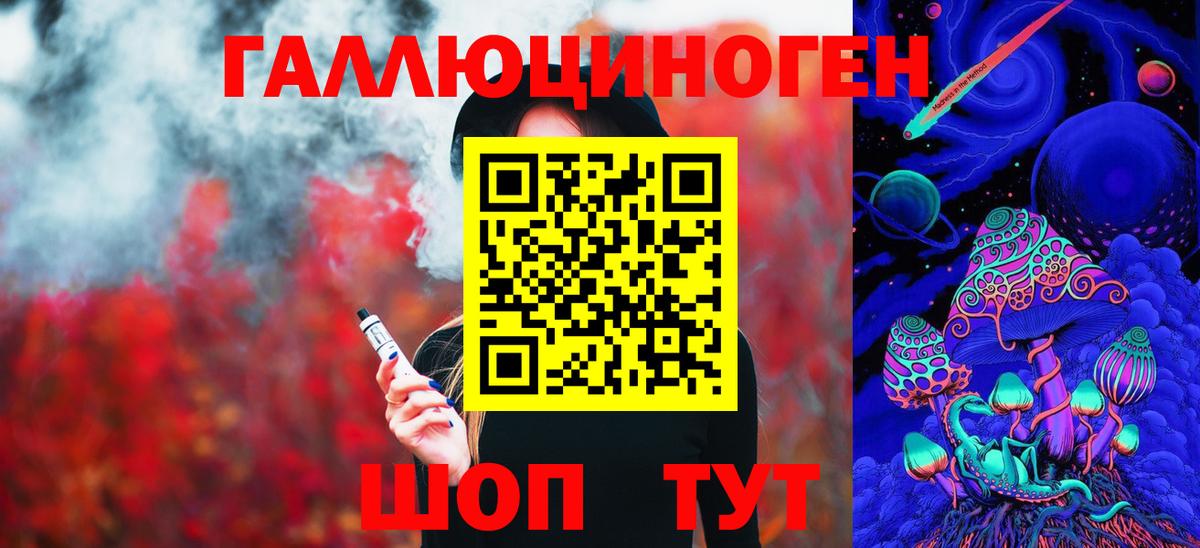 Псилоцибиновые грибы Psilocybine cubensis Коломна